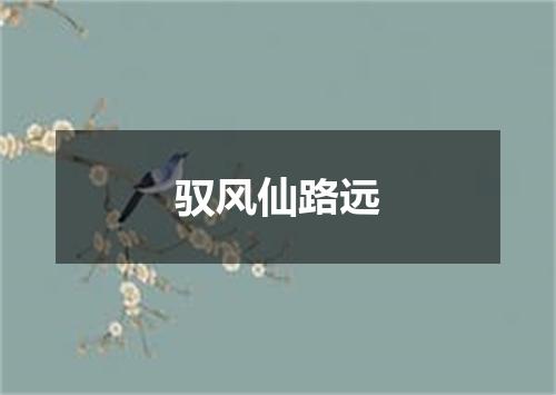 驭风仙路远