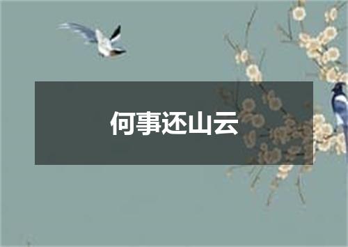 何事还山云