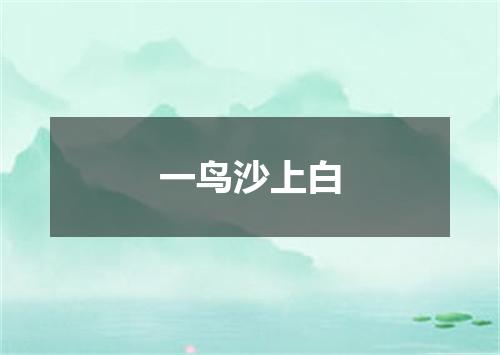 一鸟沙上白