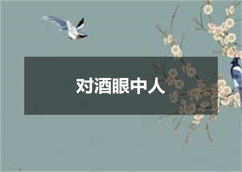 对酒眼中人