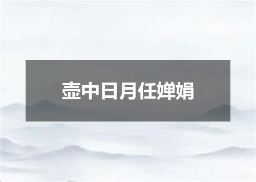壶中日月任婵娟