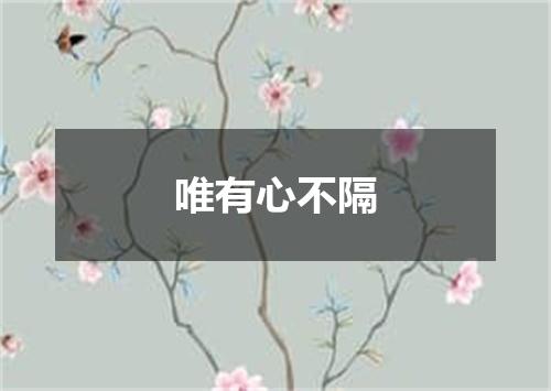唯有心不隔