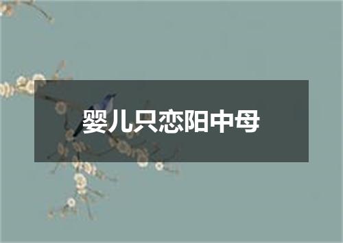 婴儿只恋阳中母