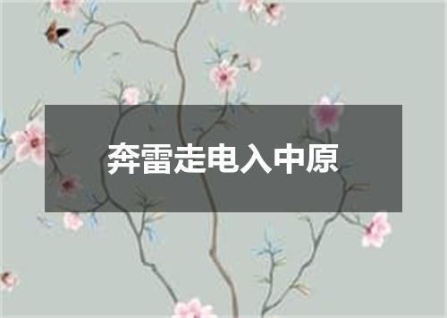奔雷走电入中原