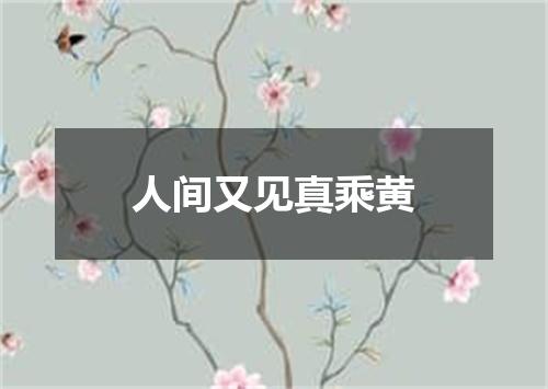 人间又见真乘黄