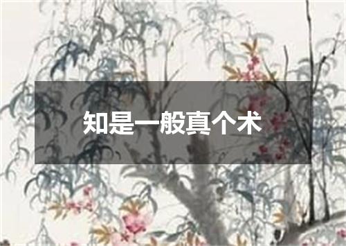 知是一般真个术