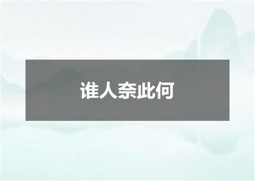谁人奈此何