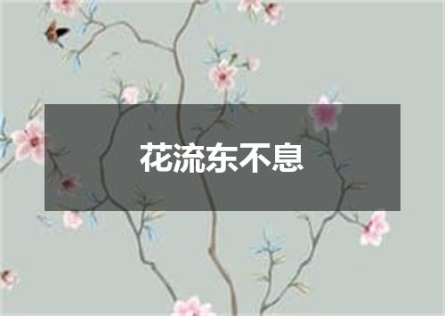 花流东不息