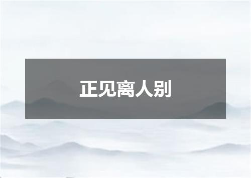 正见离人别