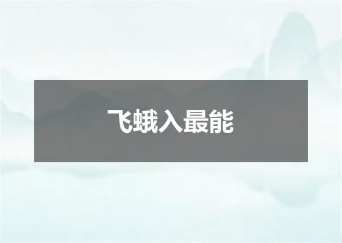 飞蛾入最能