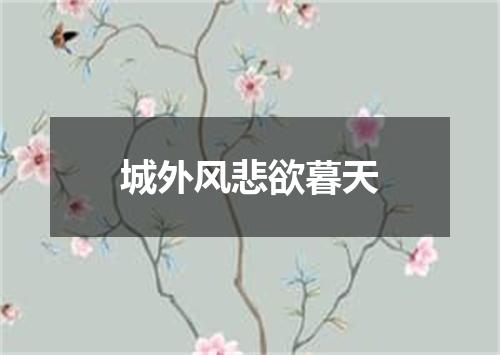 城外风悲欲暮天