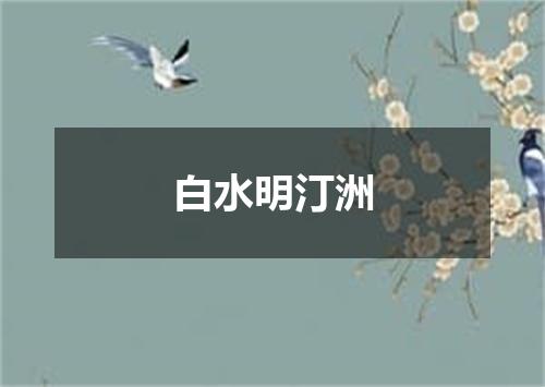 白水明汀洲