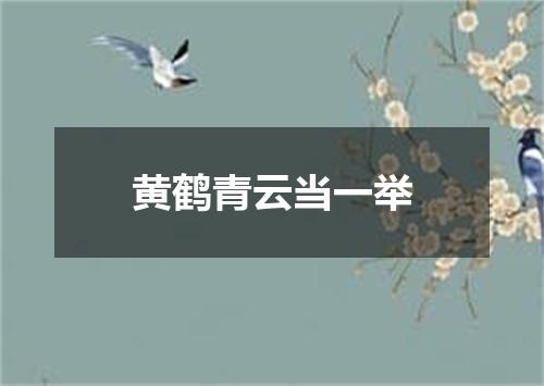 黄鹤青云当一举