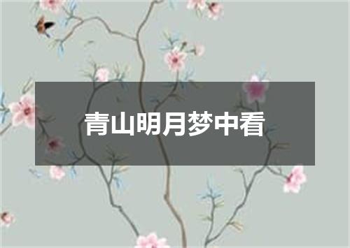 青山明月梦中看