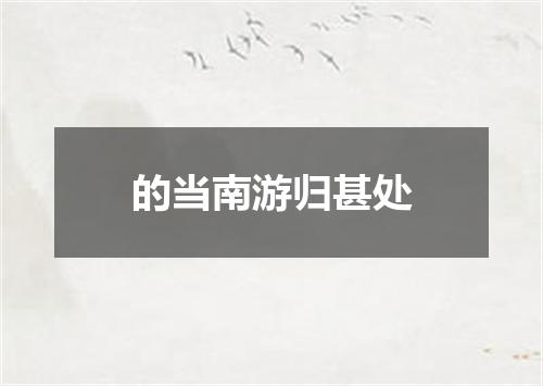 的当南游归甚处