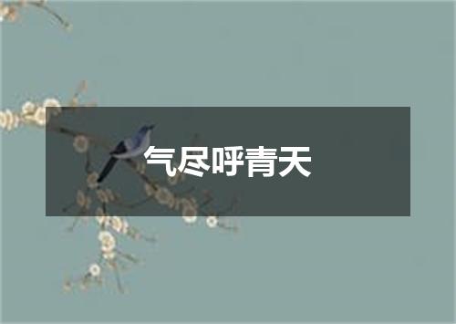 气尽呼青天
