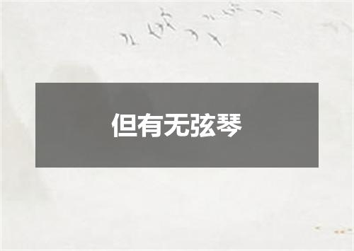 但有无弦琴