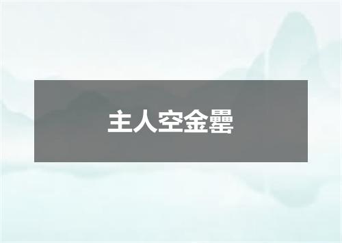 主人空金罍