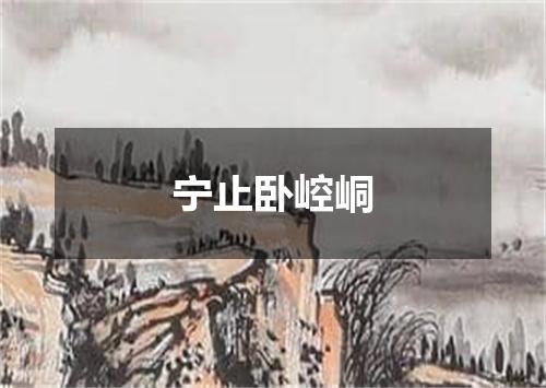 宁止卧崆峒