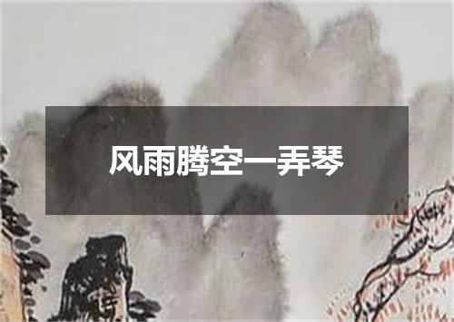 风雨腾空一弄琴
