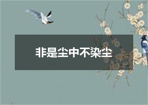 非是尘中不染尘
