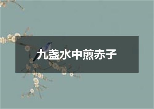 九盏水中煎赤子