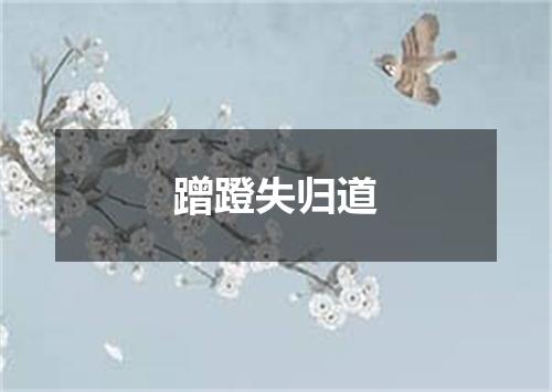 蹭蹬失归道