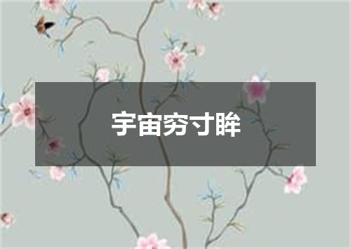 宇宙穷寸眸