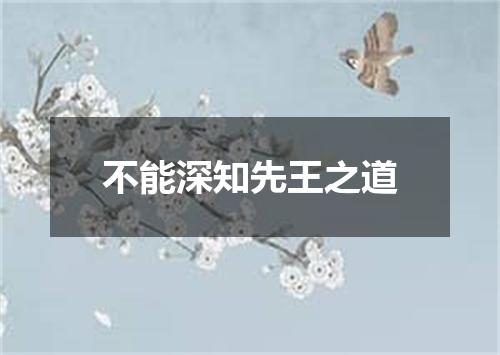 不能深知先王之道