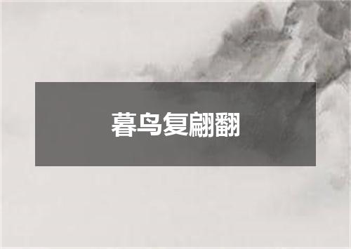 暮鸟复翩翻