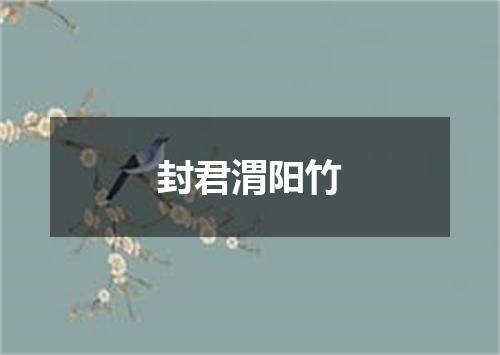 封君渭阳竹