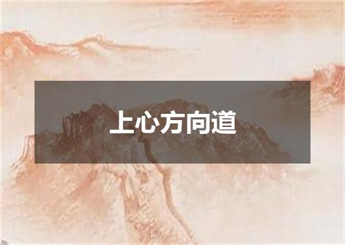 上心方向道
