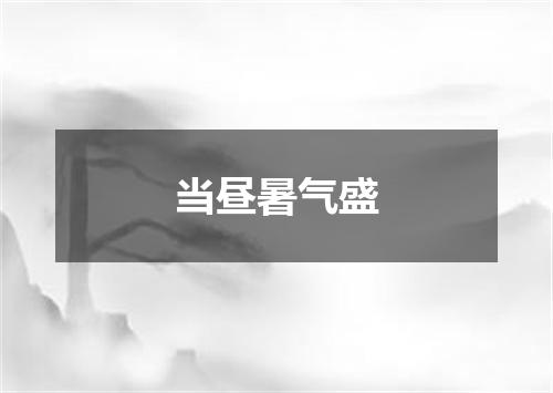 当昼暑气盛