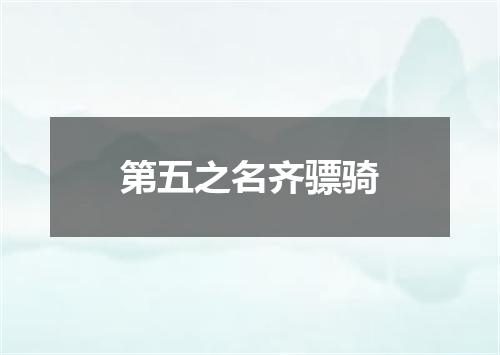 第五之名齐骠骑