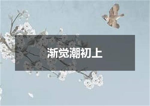 渐觉潮初上