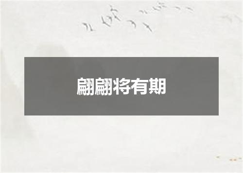 翩翩将有期