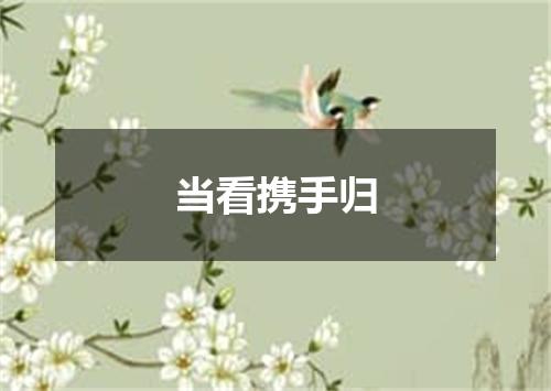 当看携手归