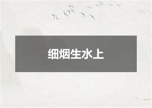 细烟生水上