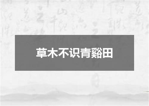 草木不识青谿田