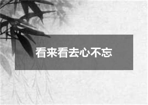 看来看去心不忘