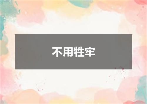 不用牲牢