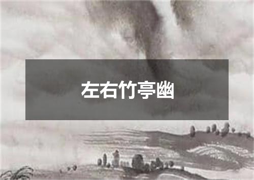 左右竹亭幽