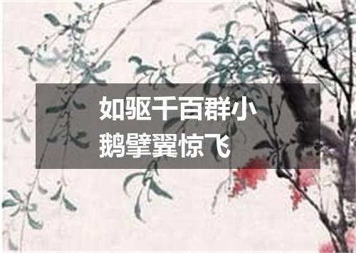 如驱千百群小鹅擘翼惊飞