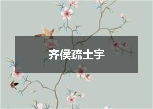 齐侯疏土宇