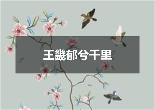 王畿郁兮千里
