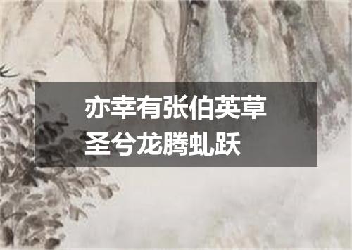 亦幸有张伯英草圣兮龙腾虬跃