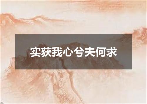 实获我心兮夫何求