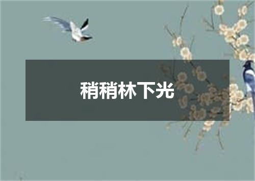 稍稍林下光