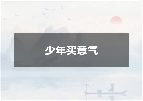 少年买意气