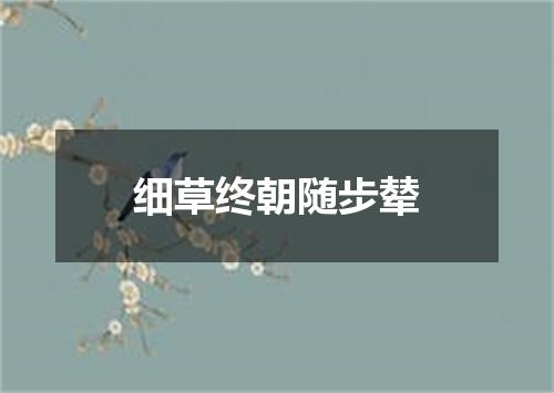 细草终朝随步辇
